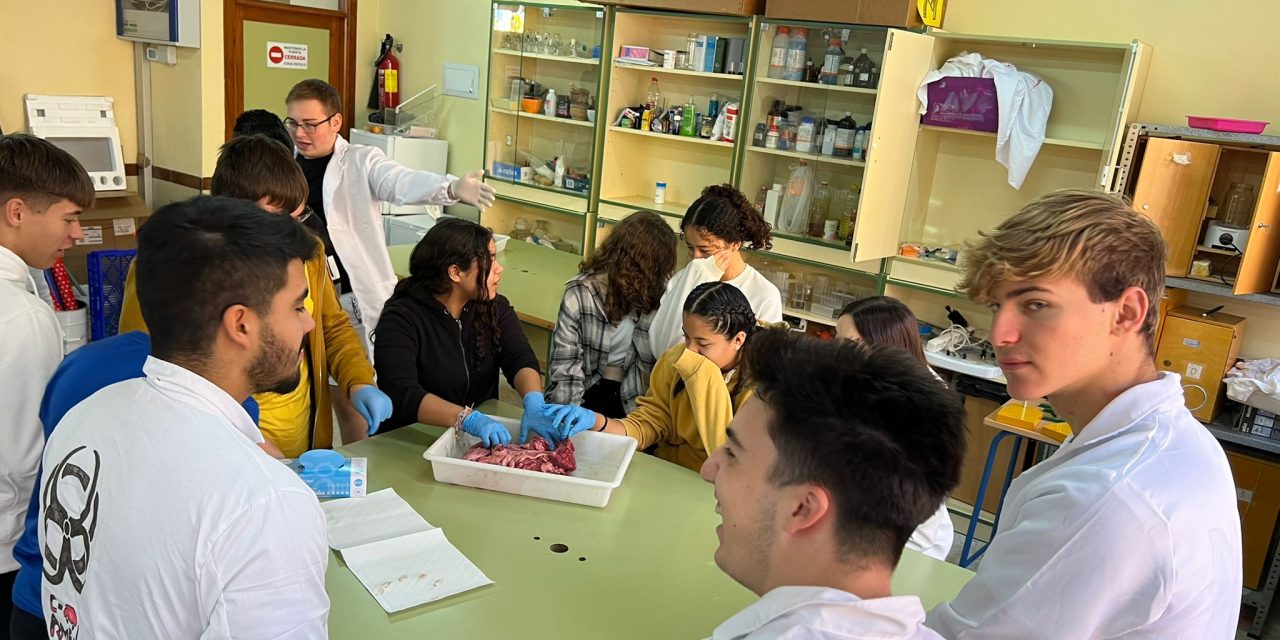 Prácticas en el laboratorio de Biología