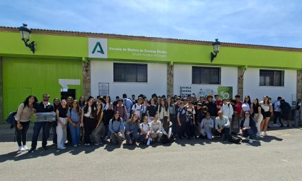 Visita a la Escuela de Madera de Encinas Reales